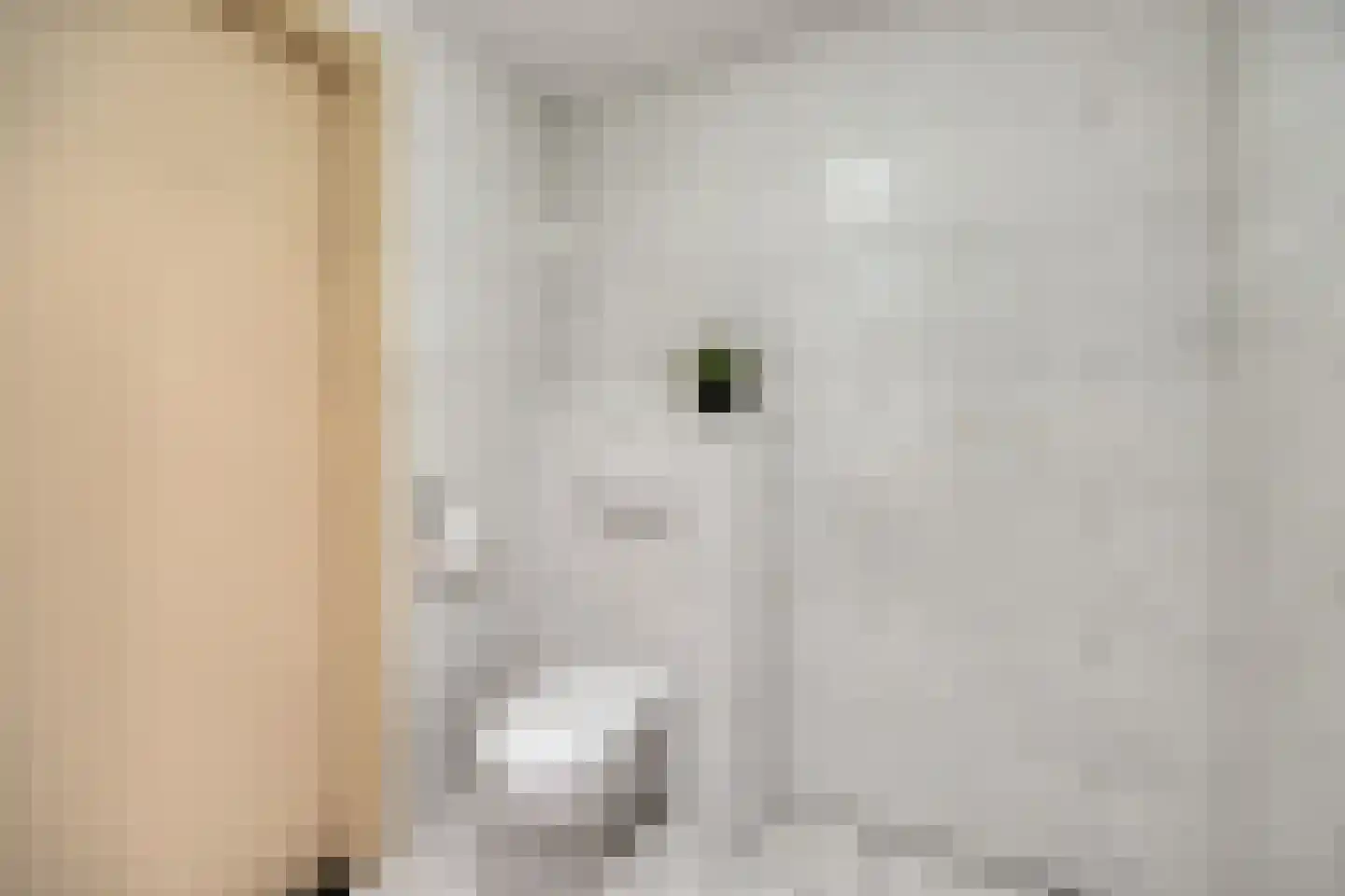 Wolshagen 15 Losser thumbnail 39