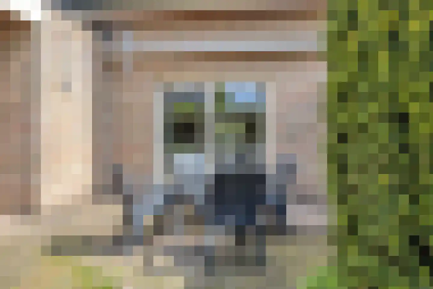 Wolshagen 15 Losser thumbnail 43