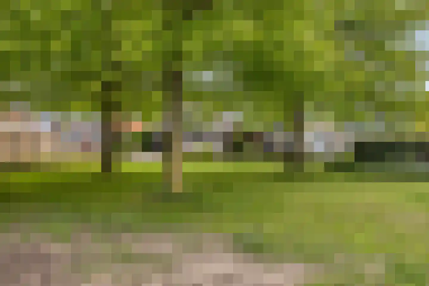 Wolshagen 15 Losser thumbnail 45