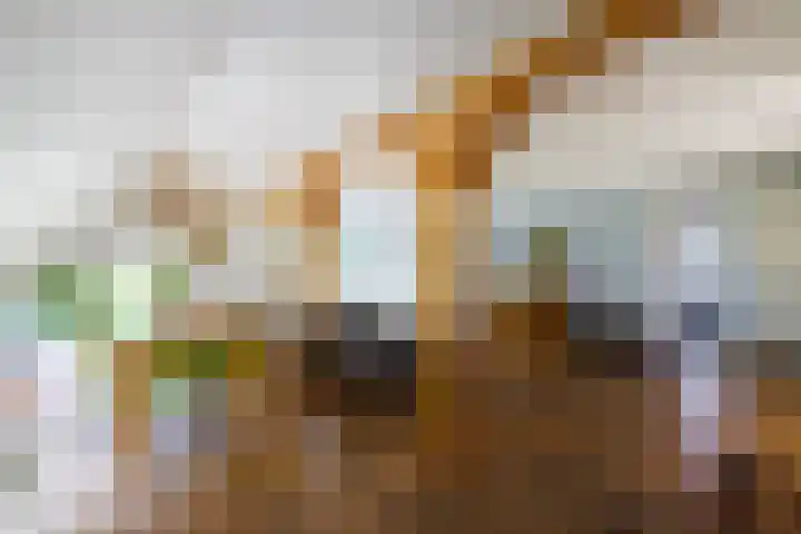 Wolsinkweg 7 Keijenborg thumbnail 10