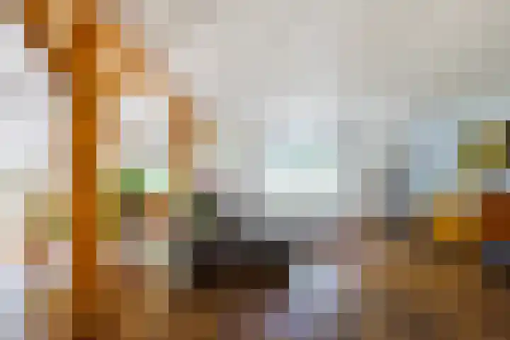 Wolsinkweg 7 Keijenborg thumbnail 11