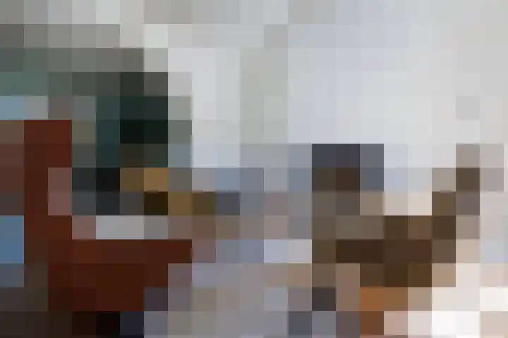 Wolsinkweg 7 Keijenborg thumbnail 12