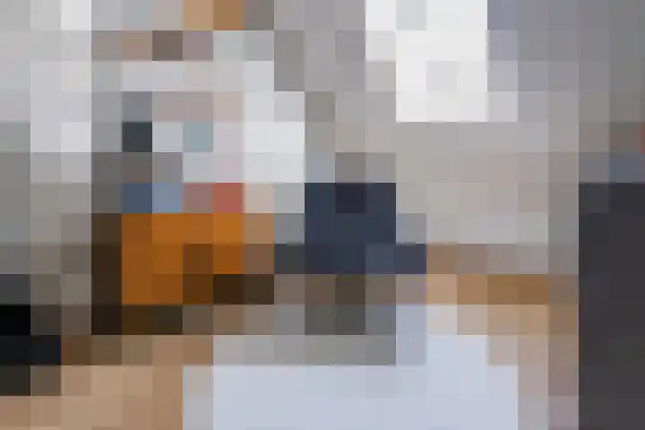 Wolsinkweg 7 Keijenborg thumbnail 29