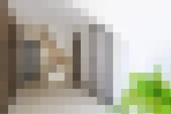 Wolsinkweg 7 Keijenborg thumbnail 35