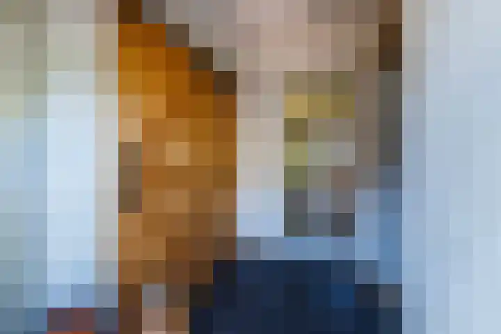 Wolsinkweg 7 Keijenborg thumbnail 38