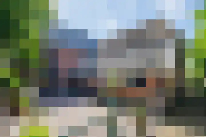 Wolsinkweg 7 Keijenborg thumbnail 41