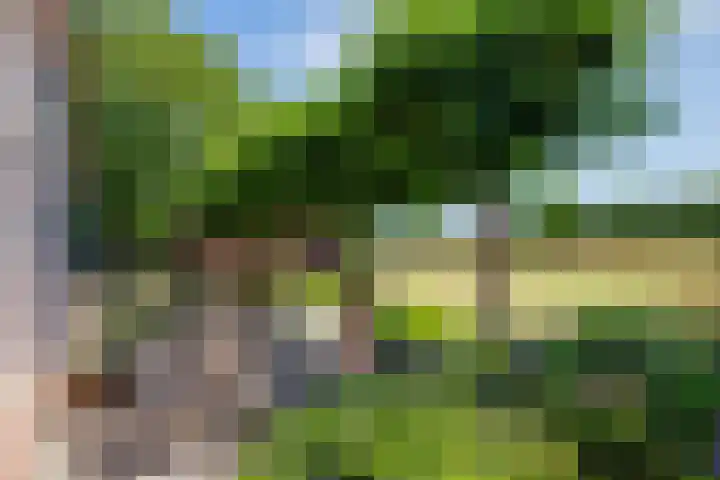 Wolsinkweg 7 Keijenborg thumbnail 45