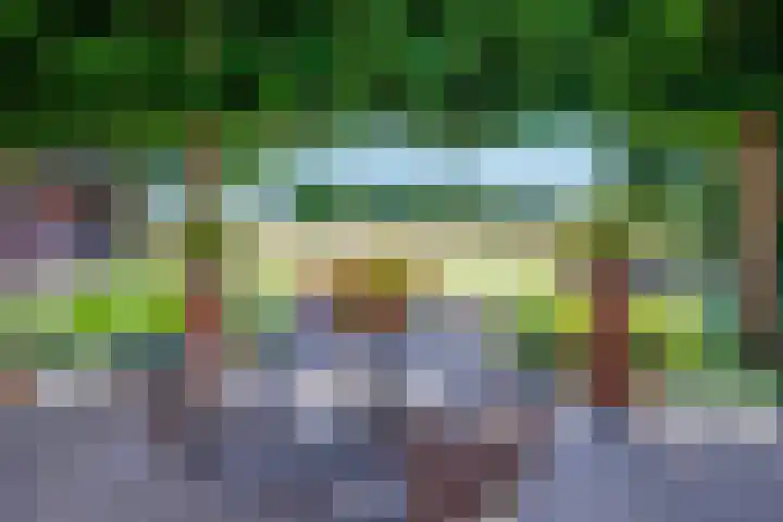 Wolsinkweg 7 Keijenborg thumbnail 47