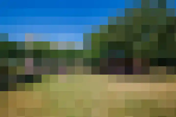 Wolsinkweg 7 Keijenborg thumbnail 48