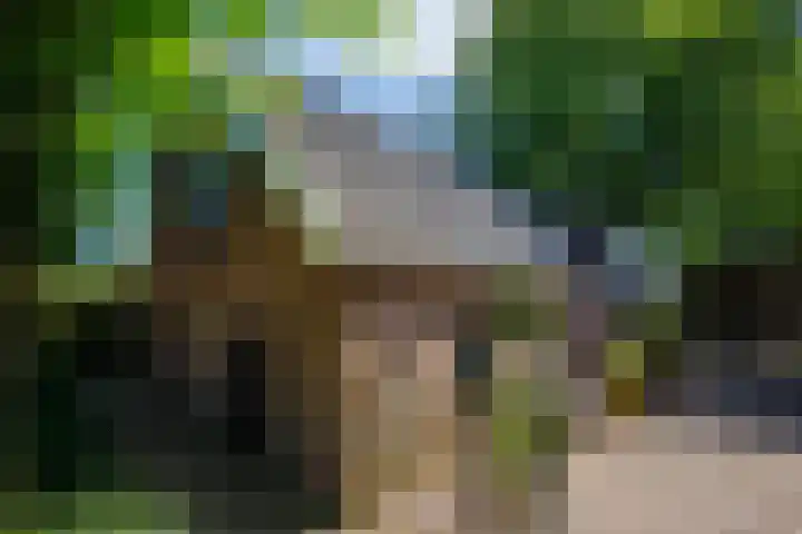 Wolsinkweg 7 Keijenborg thumbnail 50