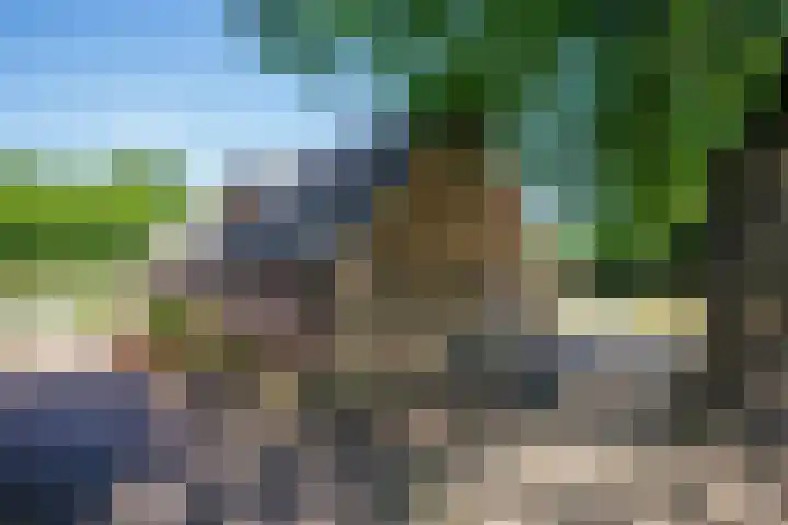 Wolsinkweg 7 Keijenborg thumbnail 51