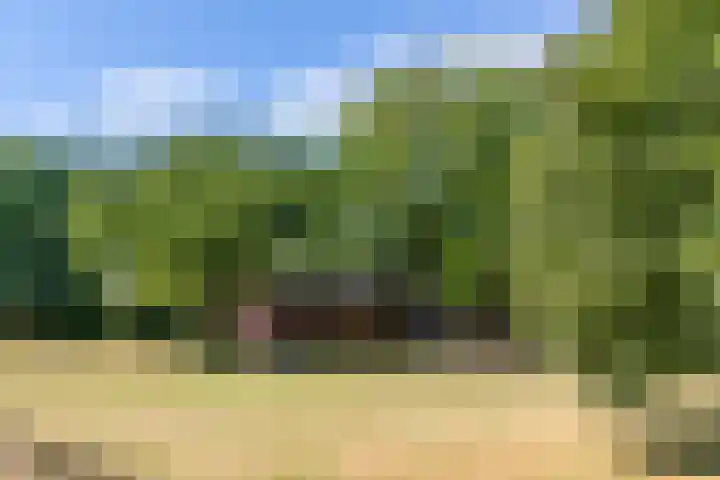 Wolsinkweg 7 Keijenborg thumbnail 53