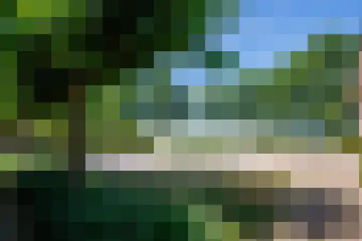 Wolsinkweg 7 Keijenborg thumbnail 60