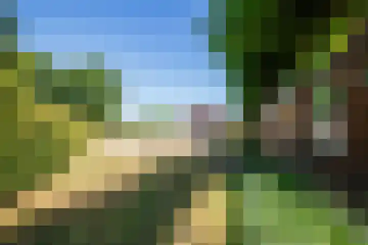Wolsinkweg 7 Keijenborg thumbnail 61