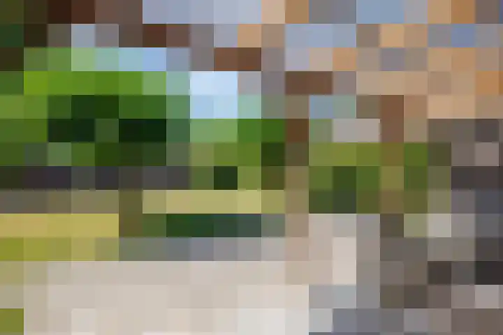 Wolsinkweg 7 Keijenborg thumbnail 63
