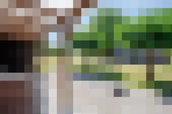 Wolsinkweg 7 Keijenborg thumbnail 64