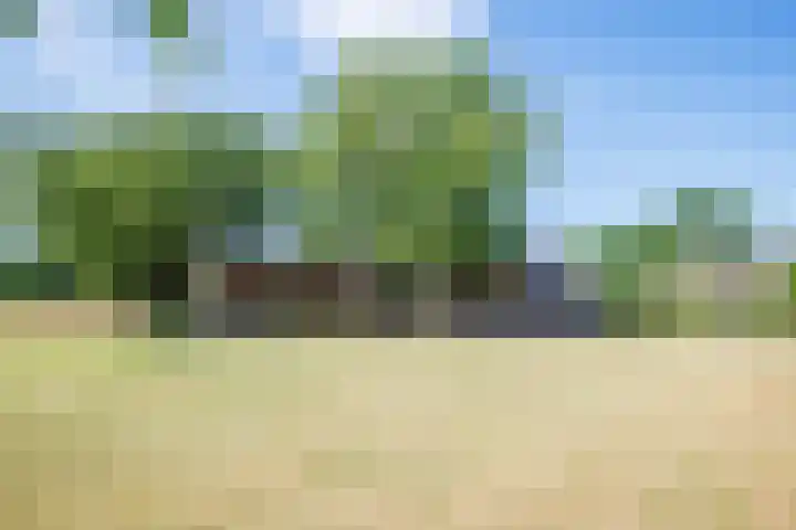 Wolsinkweg 7 Keijenborg thumbnail 65