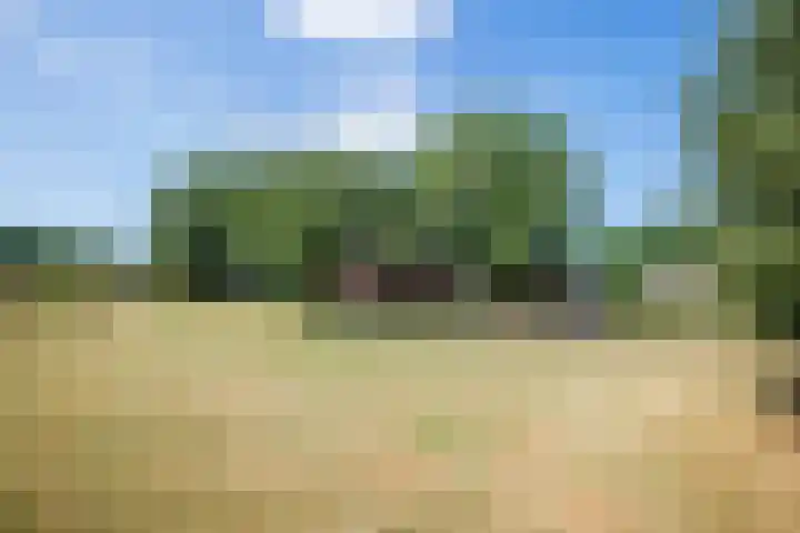 Wolsinkweg 7 Keijenborg thumbnail 66