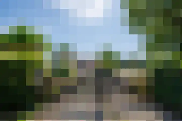 Wolsinkweg 7 Keijenborg thumbnail 67