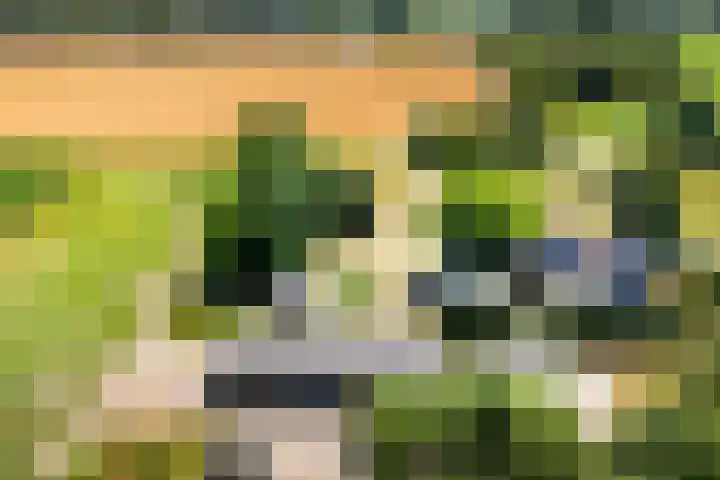 Wolsinkweg 7 Keijenborg thumbnail 68