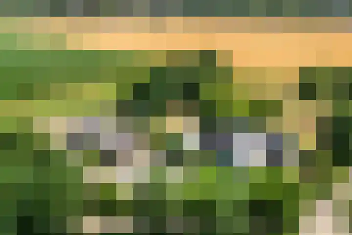 Wolsinkweg 7 Keijenborg thumbnail 69