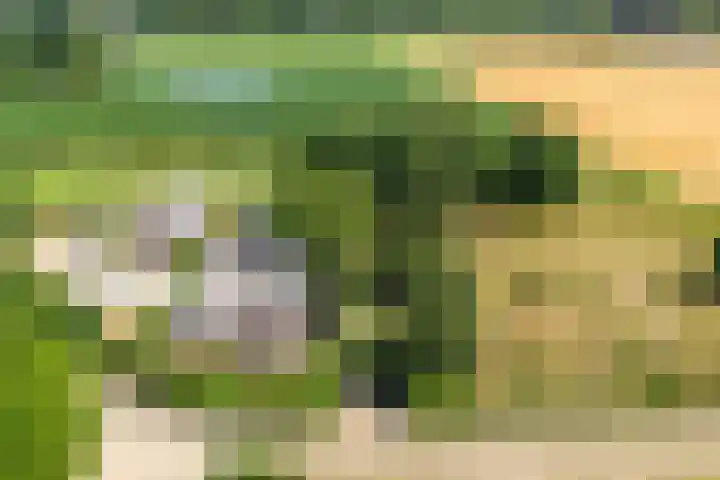 Wolsinkweg 7 Keijenborg thumbnail 70