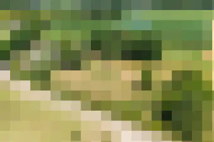 Wolsinkweg 7 Keijenborg thumbnail 71