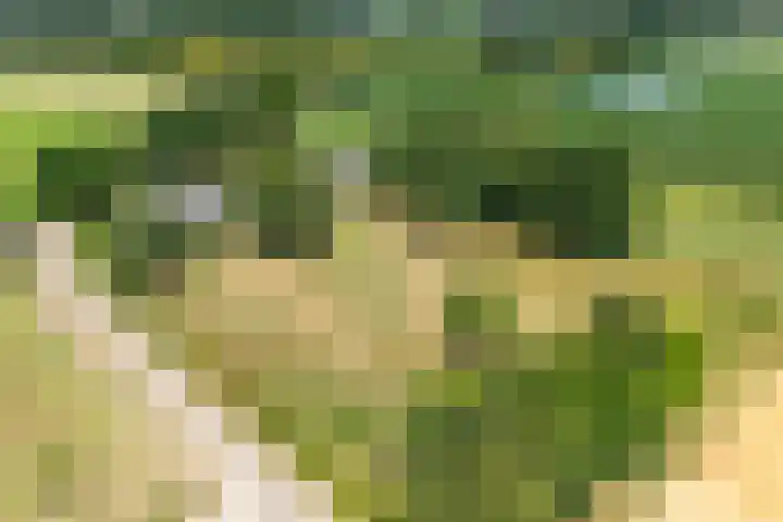Wolsinkweg 7 Keijenborg thumbnail 72