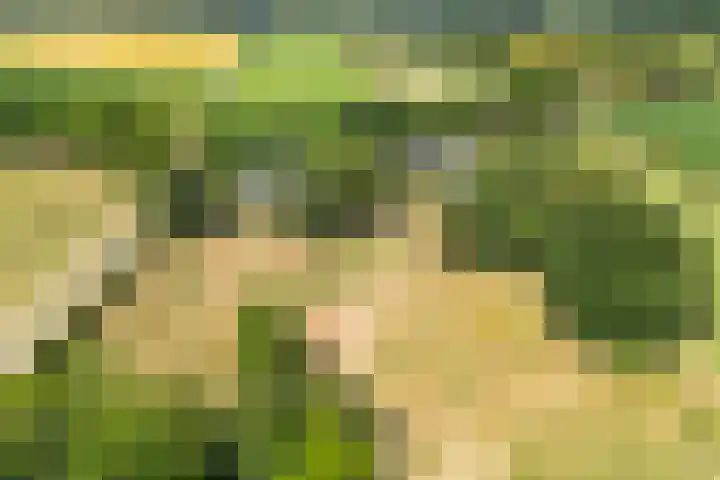 Wolsinkweg 7 Keijenborg thumbnail 73