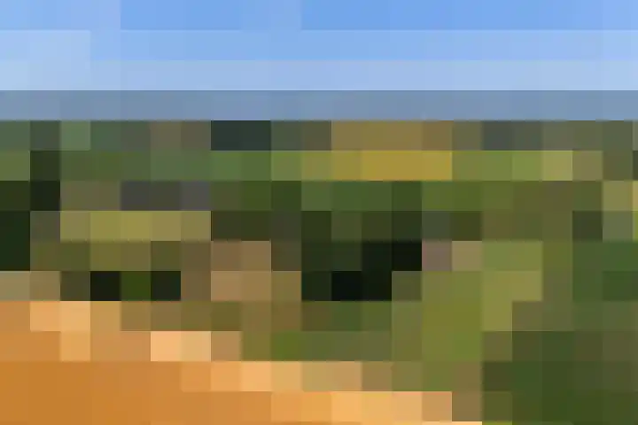 Wolsinkweg 7 Keijenborg thumbnail 74