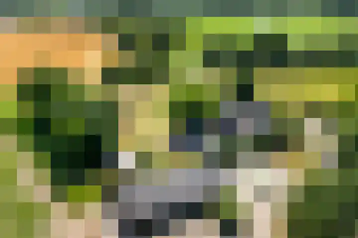 Wolsinkweg 7 Keijenborg thumbnail 75
