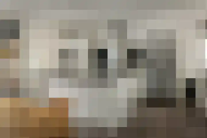 Wolsmastate 19 Ouwsterhaule thumbnail 10