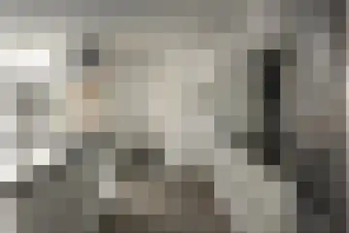 Wolsmastate 19 Ouwsterhaule thumbnail 11