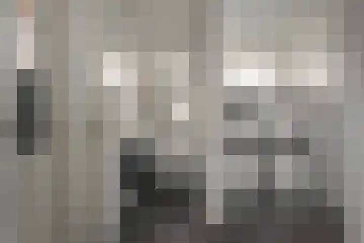 Wolsmastate 19 Ouwsterhaule thumbnail 12