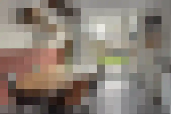Wolsmastate 19 Ouwsterhaule thumbnail 13