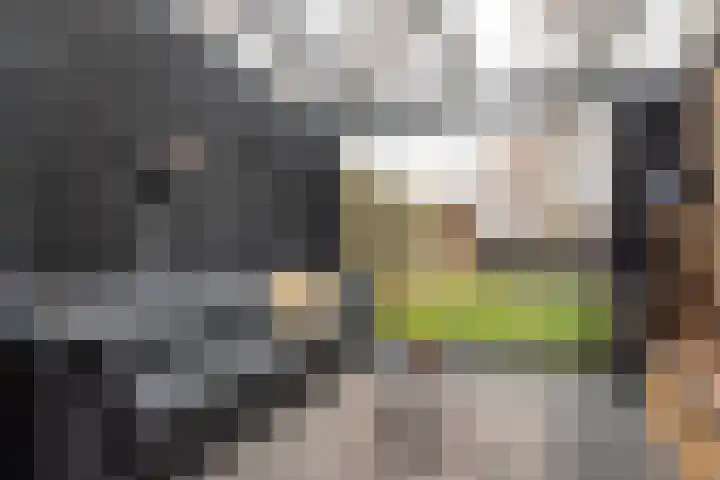 Wolsmastate 19 Ouwsterhaule thumbnail 14