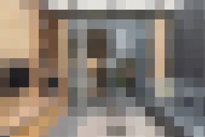 Wolsmastate 19 Ouwsterhaule thumbnail 15