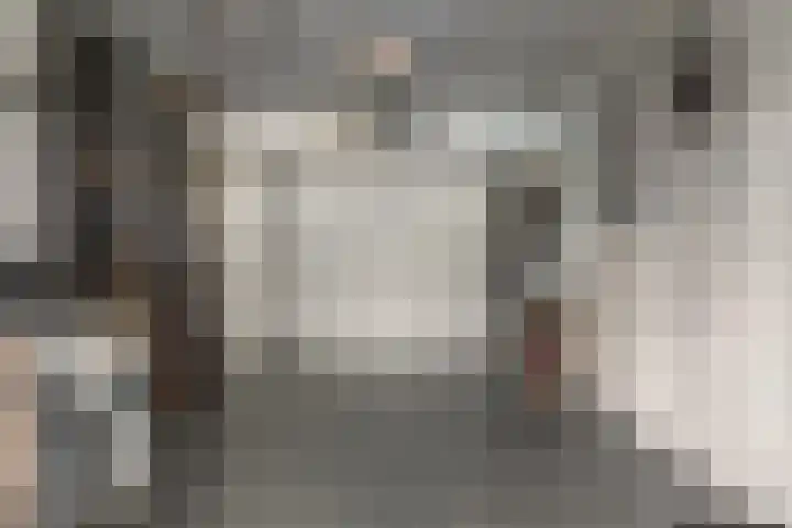 Wolsmastate 19 Ouwsterhaule thumbnail 16