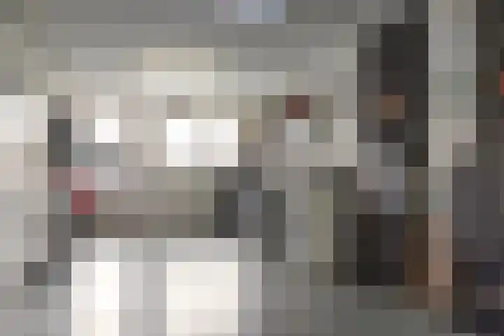 Wolsmastate 19 Ouwsterhaule thumbnail 17