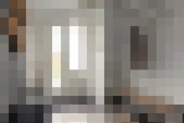 Wolsmastate 19 Ouwsterhaule thumbnail 18
