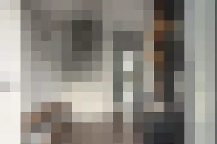 Wolsmastate 19 Ouwsterhaule thumbnail 19