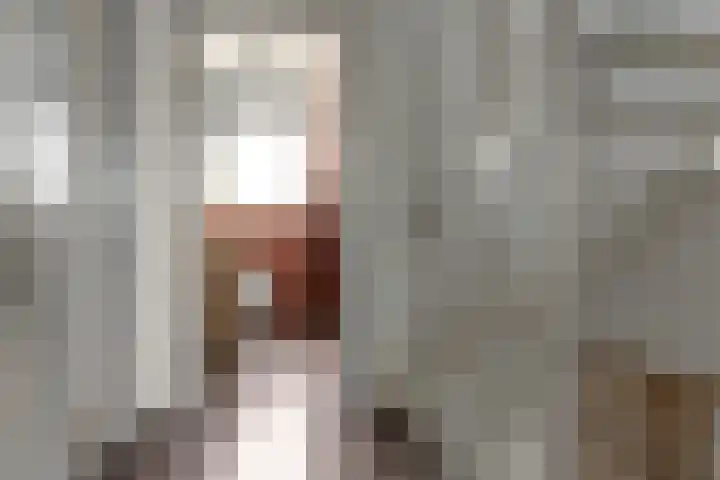 Wolsmastate 19 Ouwsterhaule thumbnail 20