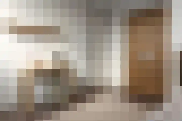 Wolsmastate 19 Ouwsterhaule thumbnail 23