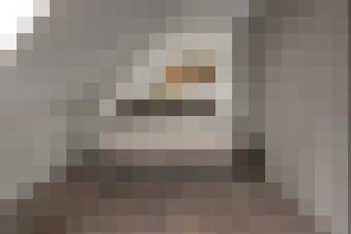 Wolsmastate 19 Ouwsterhaule thumbnail 24