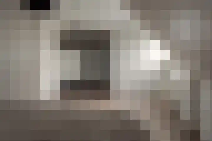 Wolsmastate 19 Ouwsterhaule thumbnail 25