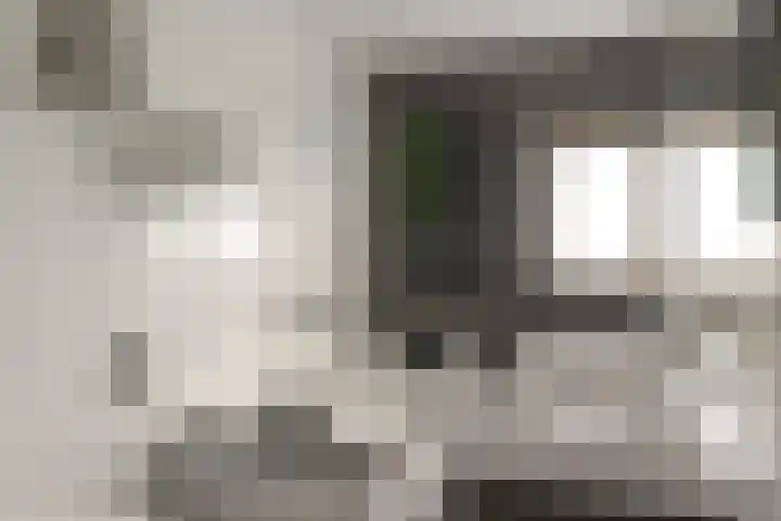 Wolsmastate 19 Ouwsterhaule thumbnail 26