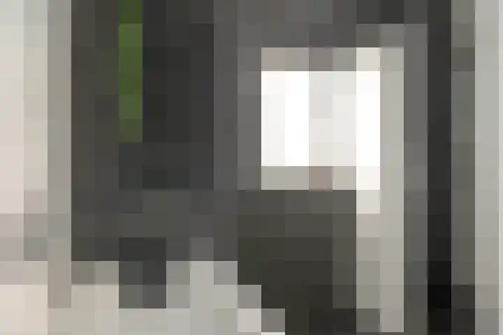 Wolsmastate 19 Ouwsterhaule thumbnail 27