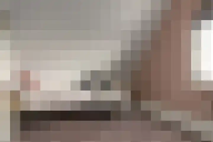Wolsmastate 19 Ouwsterhaule thumbnail 30