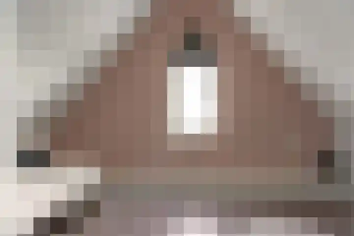Wolsmastate 19 Ouwsterhaule thumbnail 31