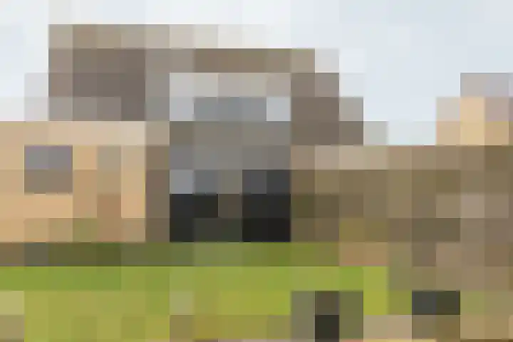 Wolsmastate 19 Ouwsterhaule thumbnail 34